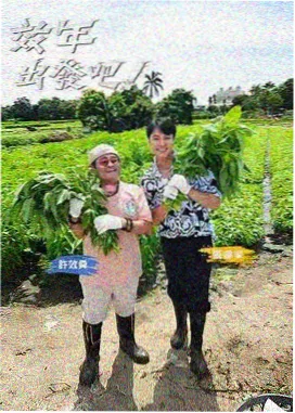 贪吃蛇红包提现版